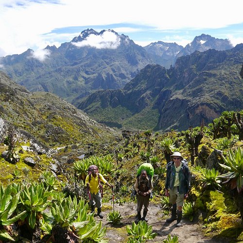 Rwenzori mountain